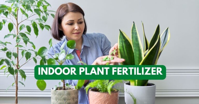 Indoor Plant Fertilizer