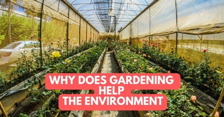 Why Does Gardening Help The Environment