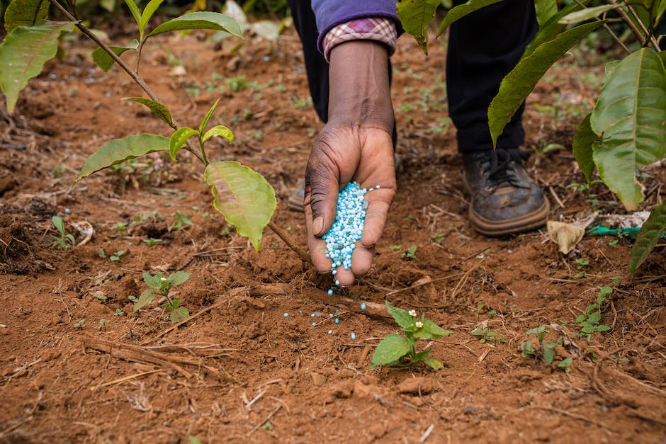 Hand of Man Putting Fertilizer Pellets on Ground