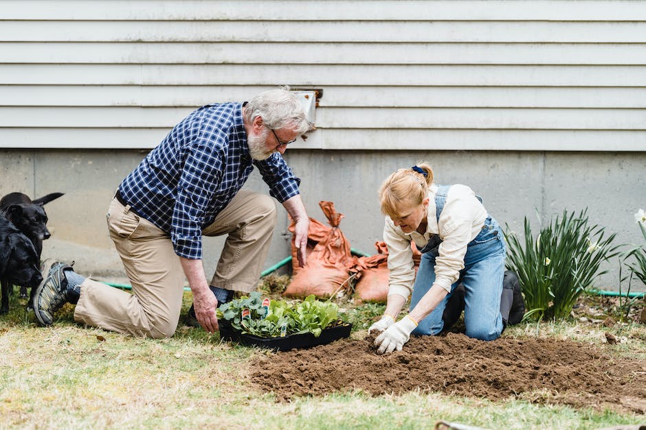 what are the advantages and disadvantages of gardening