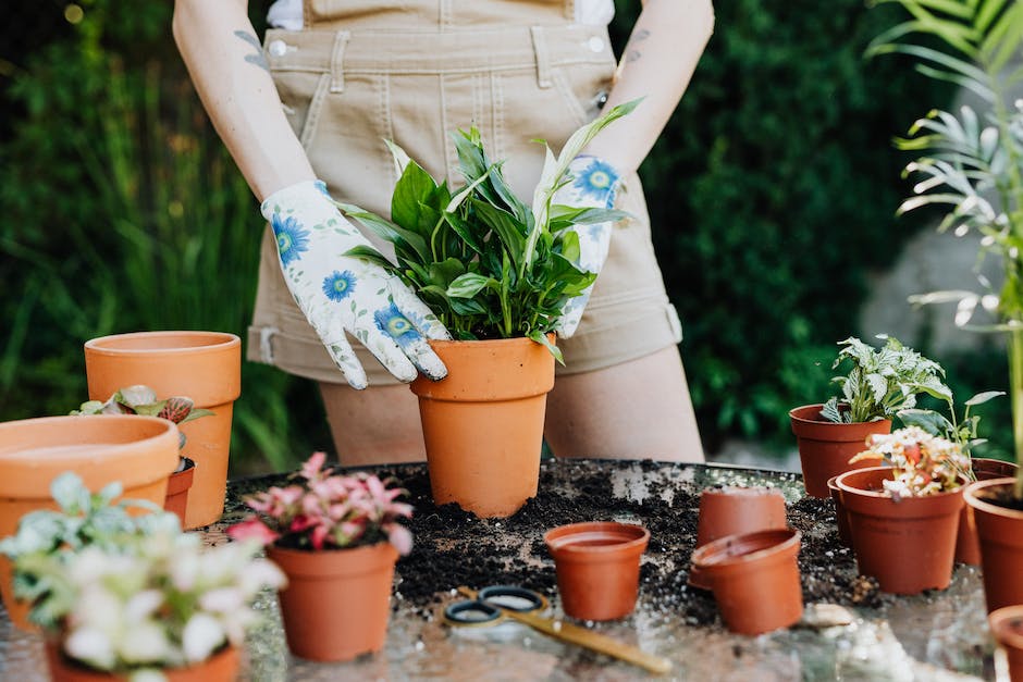 what are the advantages and disadvantages of gardening