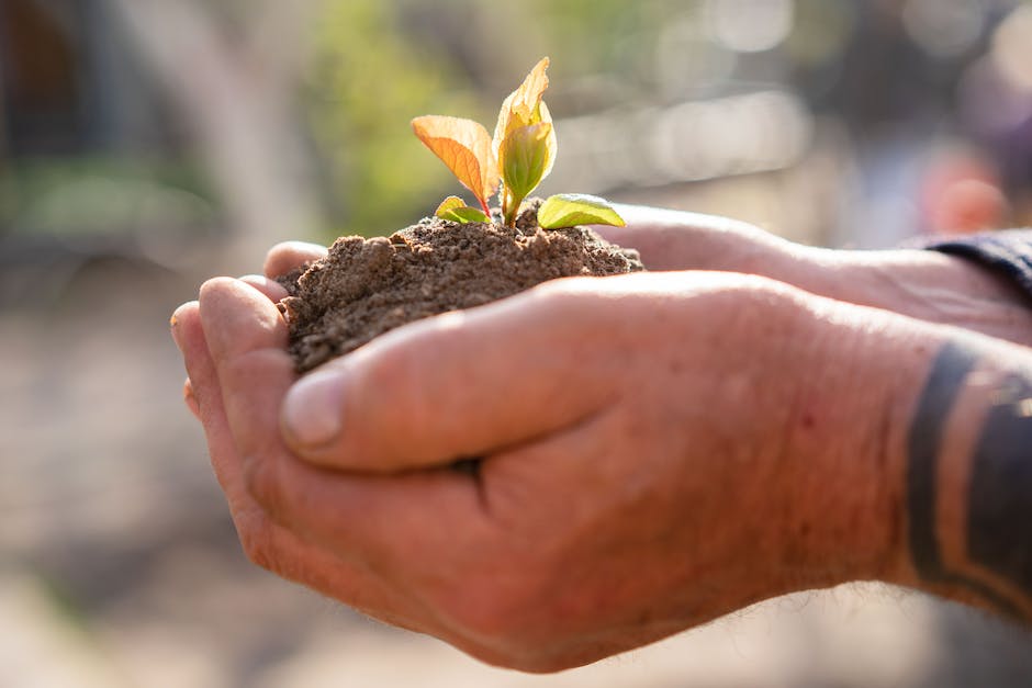 why does gardening reduce stress