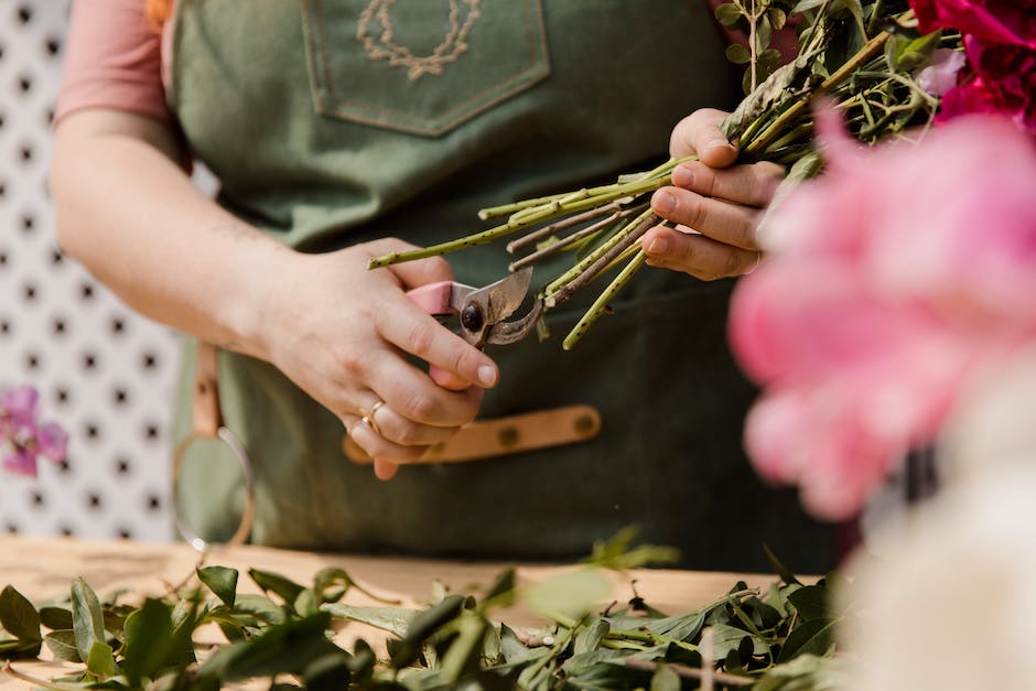 What is The Benefits of Pruning ?