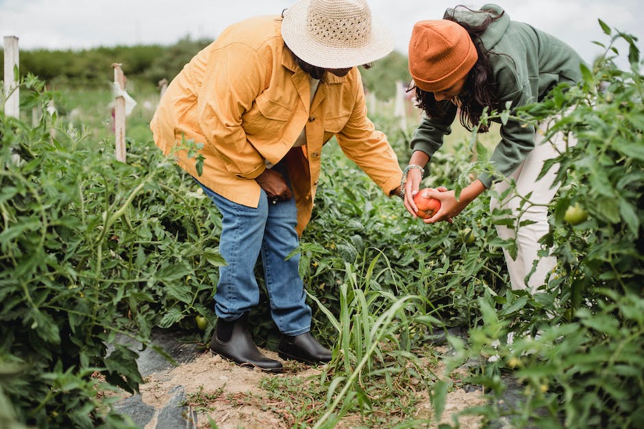 why gardens are good for the environment