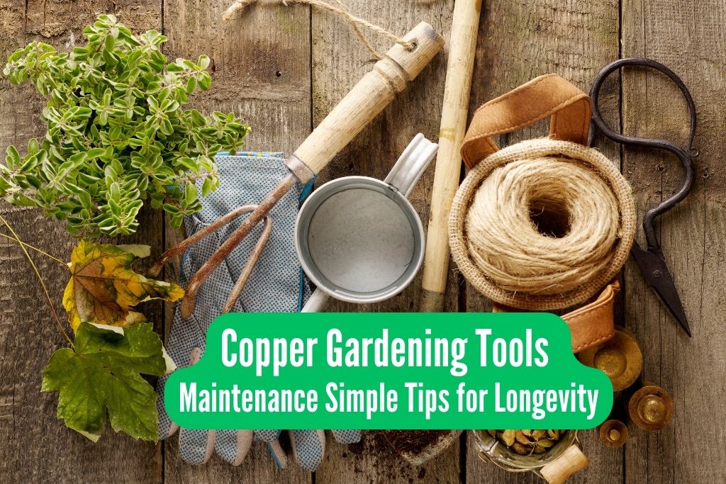 copper garden tools maintenance