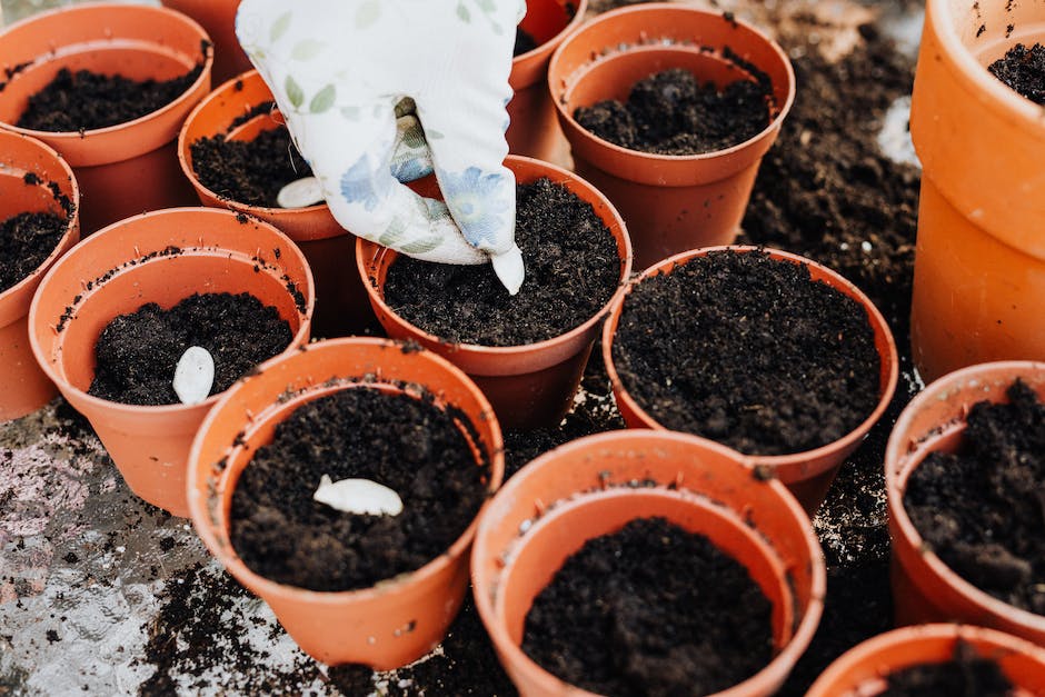 How Copper Gardening Tools Can Improve Your Soil Health