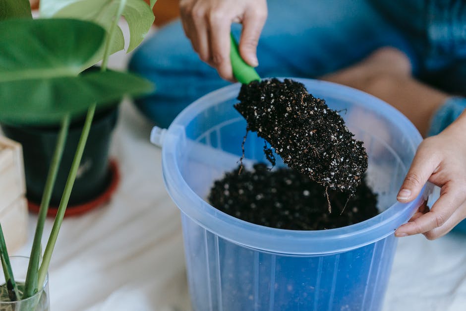 Crop gardener showing soil on trowel in house