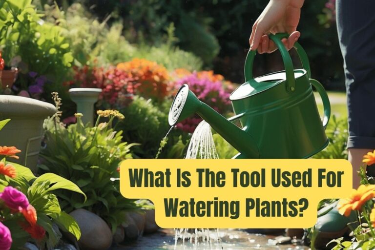 What Is the Tool Used for Watering Plants?