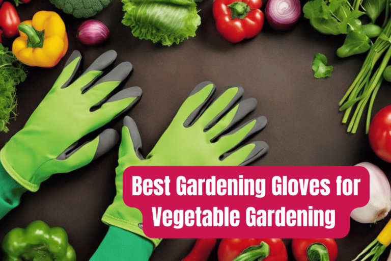 Best Gloves for Vegetable Gardening: Comfort and Efficiency