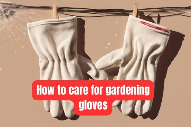 How to Care for Gardening Gloves