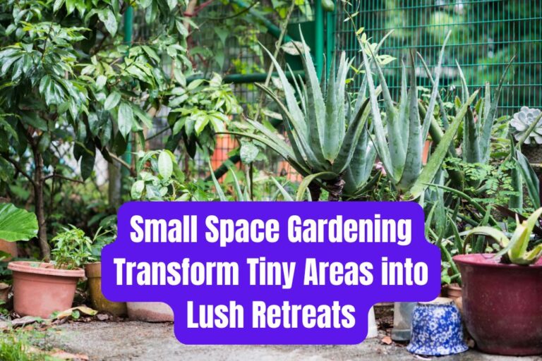 Small Space Gardening: Transform Tiny Areas into Lush Retreats